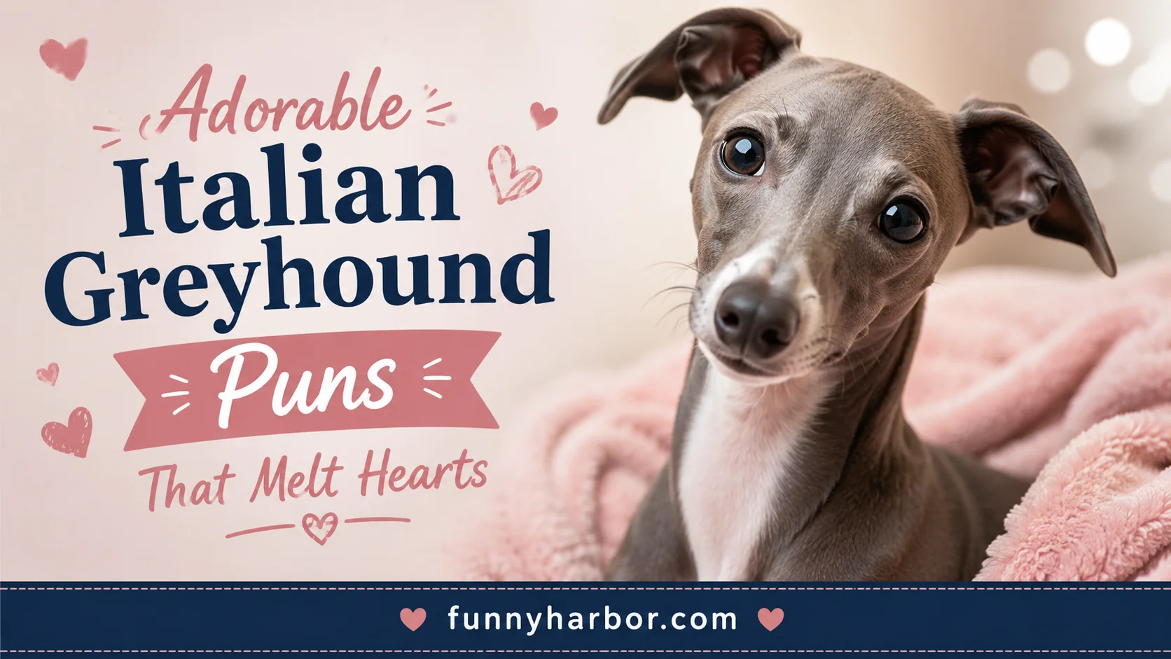 Adorable Italian Greyhound Puns That Melt Hearts