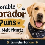 Adorable Labrador Puns That Melt Hearts