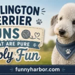 Bedlington Terrier Puns That Are Pure Wooly Fun