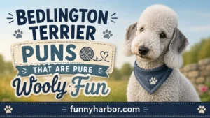 Bedlington Terrier Puns That Are Pure Wooly Fun